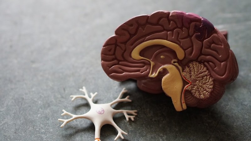 Mental health and brain wellness